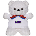 ecrazy Teddy Bear